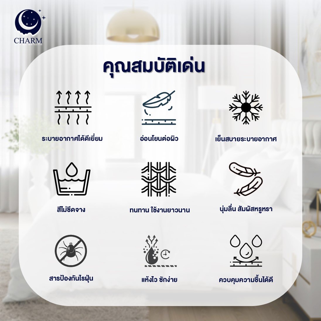 ชุดผ้าปูที่นอน 6 ฟุต 6 ชิ้น CHARM สี DARK GREY คอลเลคชั่น CLASSIC_2